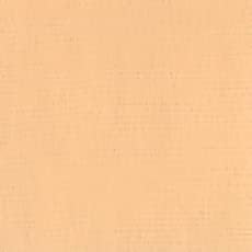 Holbein Acryla Gouache - Flesh