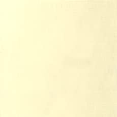 Holbein Acryla Gouache - Ivory White