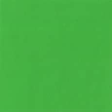 Holbein Acryla Gouache - Light Green