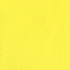 Holbein Acryla Gouache Artists Acrylic Polymer Emulsion, 20ml Lemon Yellow (D034)