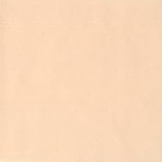 Holbein Acryla Gouache Artists Acrylic Polymer Emulsion, 20ml Pale Peach (D014)