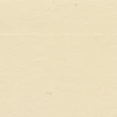 Holbein Acrylic Colors Mat Beige (B)