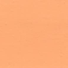 Holbein Acrylic Colors Mat Jaune Brillant (B)