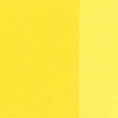 Holbein Artists' Oil 40ml Permanent Yellow Lemon