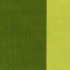 Holbein Artists' Oil 40ml Greenish Yellow