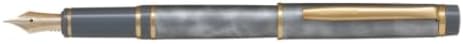 PILOT FGRC-2MR-MAGY-M Fountain Pen, Marble Gray, Medium Point