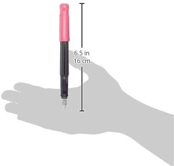 PILOT Kakuno Fountain Pen of Biginners, Medium Nib, Pink Body (FKA-1SR-PM)