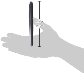PILOT Cocoon Fountain Pen Medium Nib Metalic Gray Body (FCO-3SR-MGY-M), alternate view