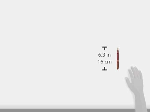 PLATINUM Fountain Pen President #10 Burgundy and Gold- PTB20000P - M