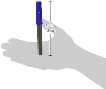 PILOT Kakuno Fountain Pen of Biginners, Fine Nib, Blue Body (FKA-1SR-LF)