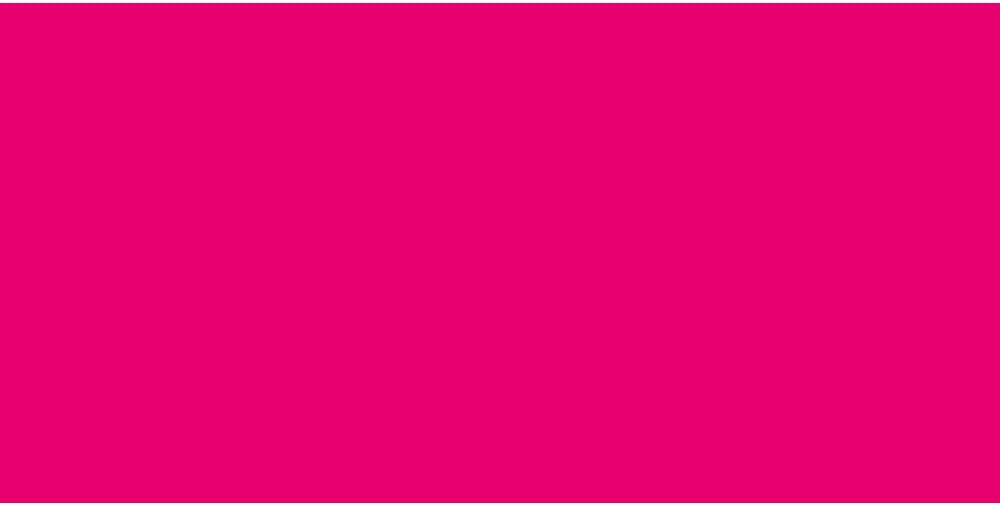 Turner Colour Works Acryl Gouache Artist Acrylic Paint - Single 40 ml Tube - Rose