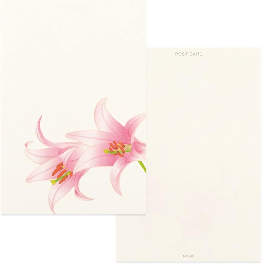Midori 88686006 Postcard Notes, Paper Series, Summer Letter, 4 Patterns, Summer Floral Pattern