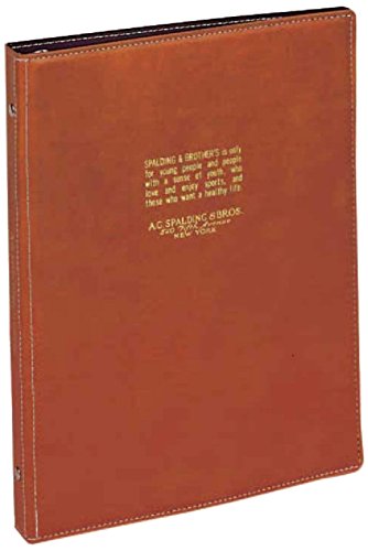 Lei May Fujii 26 hole binder B5 Brown BRE170C (japan import)