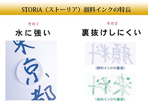 Sailor Fountain Pen Pigment Bottled Ink, Storia, 20ml, Blue, 131006240 Success