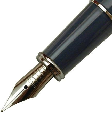 PILOT Prera Medium-Nib Fountain Pen, Slate Gray Body (FPR-3SR-SGY-M)