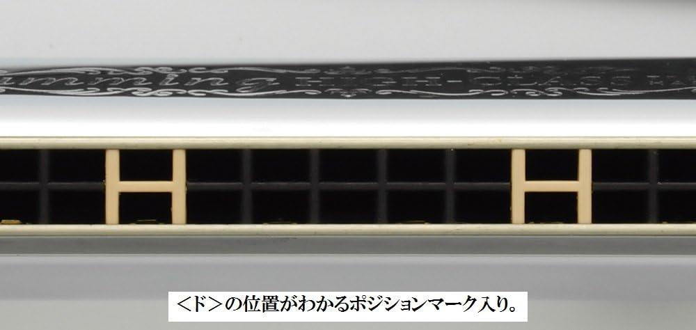 SUZUKI SU-21W C luxury Hamming 21 hole tremolo harmonica