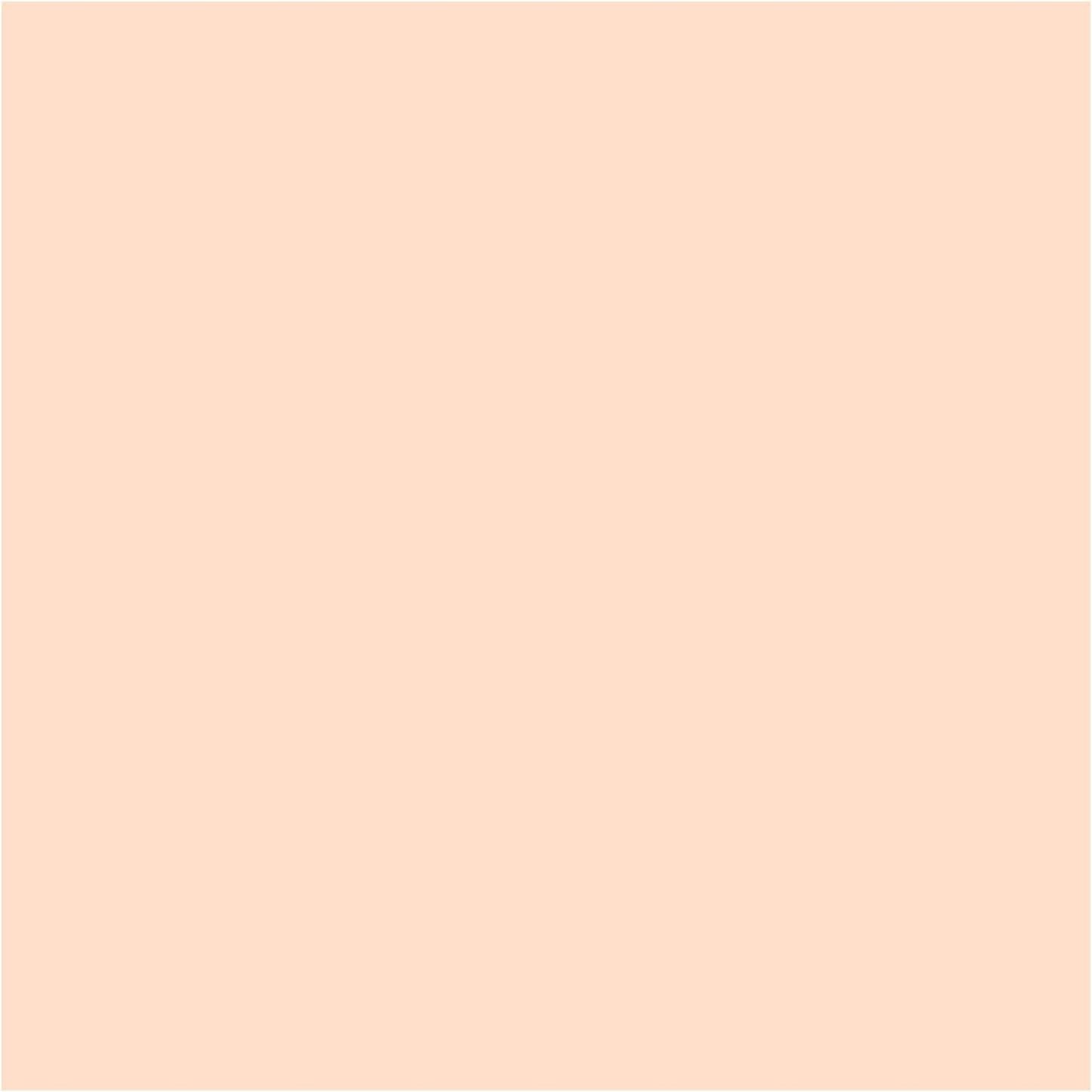 Turner Colour Works Acryl Gouache Artist Acrylic Paint - Single 20 ml Tube - Pastel Orange
