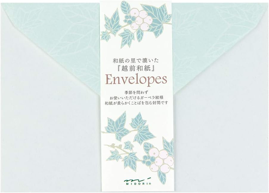Midori 20490006 Japanese Paper Envelope Ivy Pattern