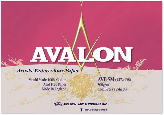 Holbein AVB-SM 271001 Avalon Watercolor Paper Block 10.6 oz (300 g), Medium Grain (Blocks SM)