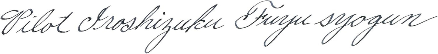 PILOT Iroshizuku Bottled Fountain Pen Ink, Fuyu-Syogun, Rigor of Winter (Cool Gray) 50ml Bottle (69215)