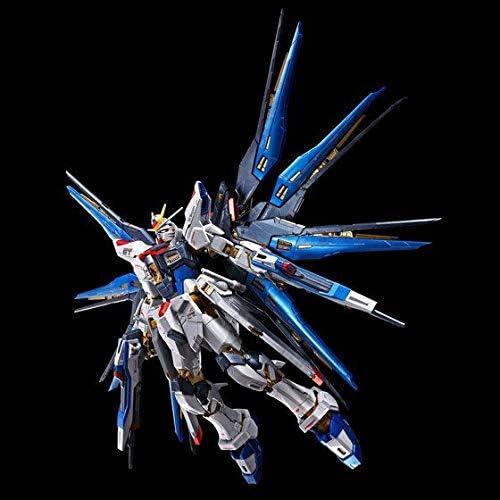 Bandai spirits 1/144 RG ZGMF-X20A Strike Freedom Gundam Titanium Finish
