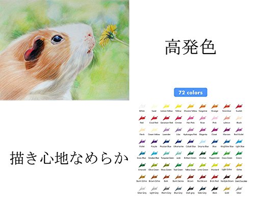 Arespark Colored Pencils, 72-Color Set for Kids and Adults, Perfect for Coloring, Drawing, Illustration, and Gifts (72-Pack)