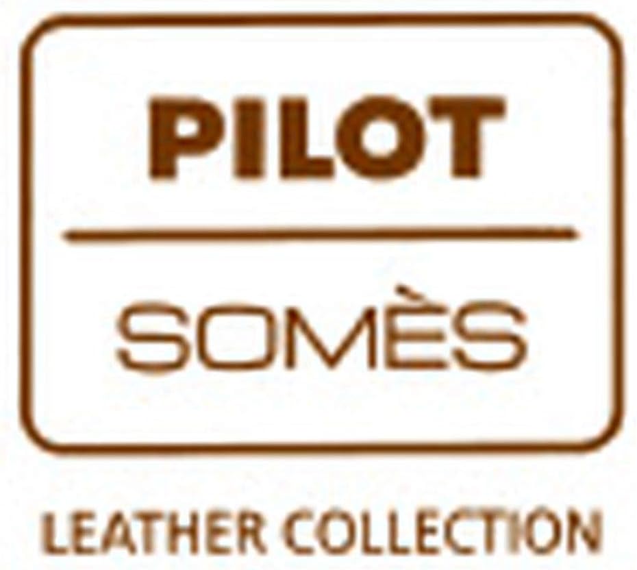 PILOT x Somesu fountain pen tray Black SLT-01-B (japan import)