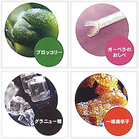 Raymay Fujii Microscope Handy ZOOM Green RXT203M