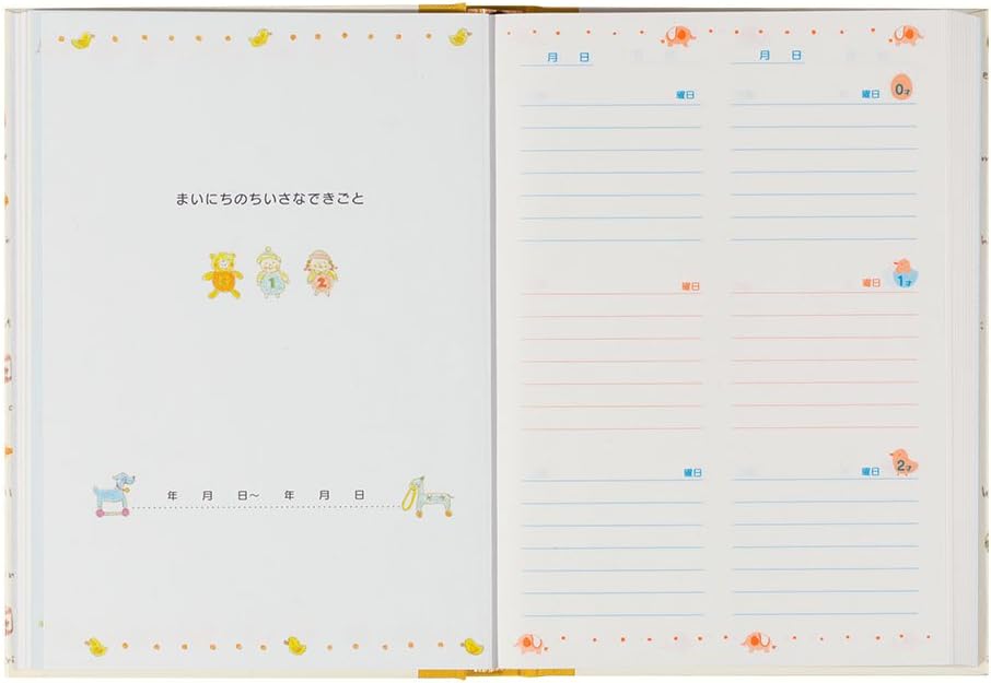 Phil design Light Blue Quickly and Healthily Green Diary Three Years Continuous use (Japan Import)