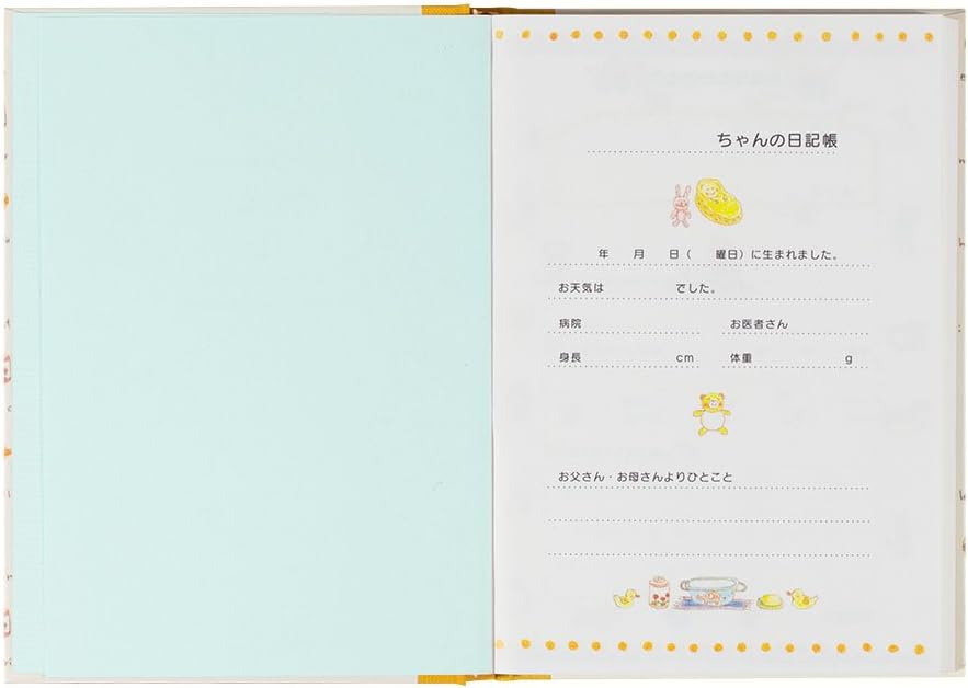 Phil design Light Blue Quickly and Healthily Green Diary Three Years Continuous use (Japan Import)