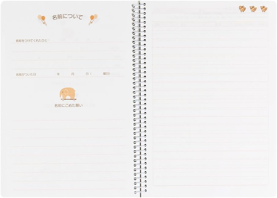 DESIGNPHIL Midori A5 26007006 Notebook Diary HF Diary, Childcare