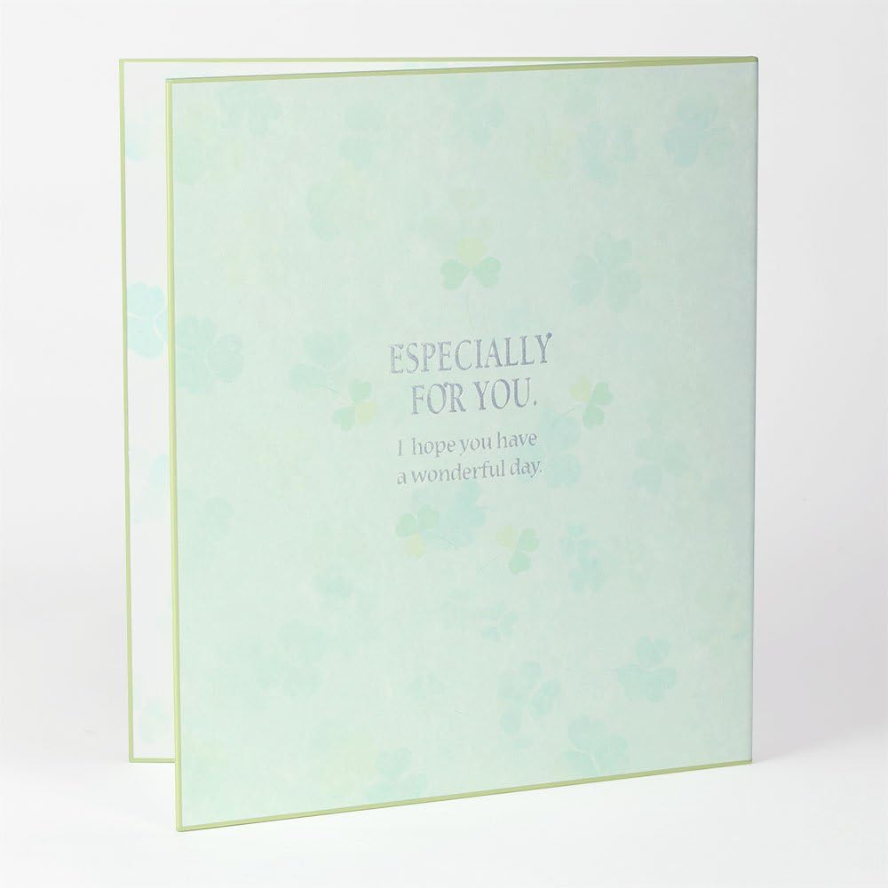 Midori 33140006 Colored Shikishi Bifold Clover Pattern