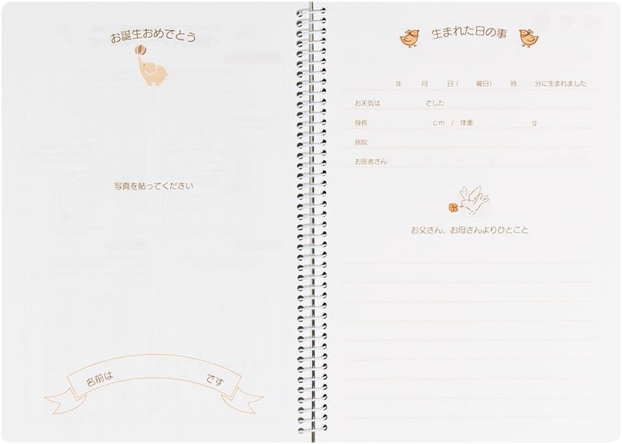 DESIGNPHIL Midori A5 26007006 Notebook Diary HF Diary, Childcare