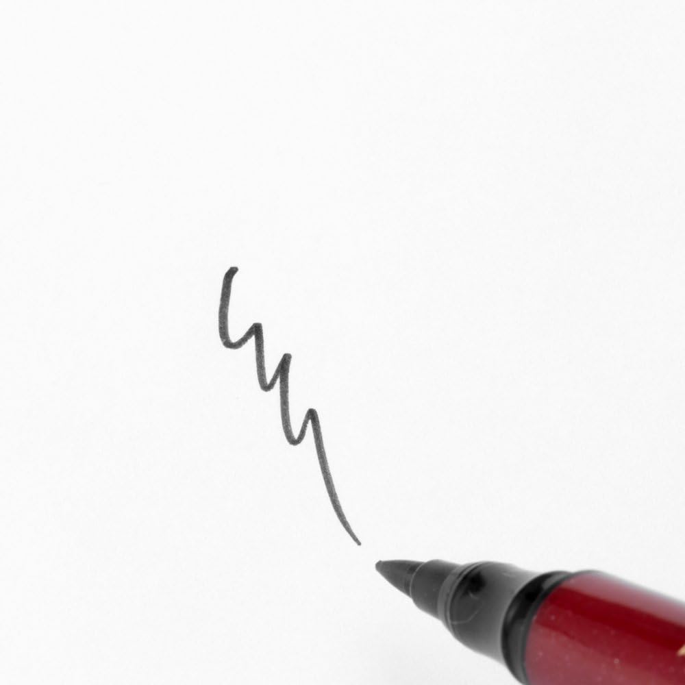 Pentel Brush Pen Fude Roman Twin XSFW33B – 10-Piece Set (Japan Import)