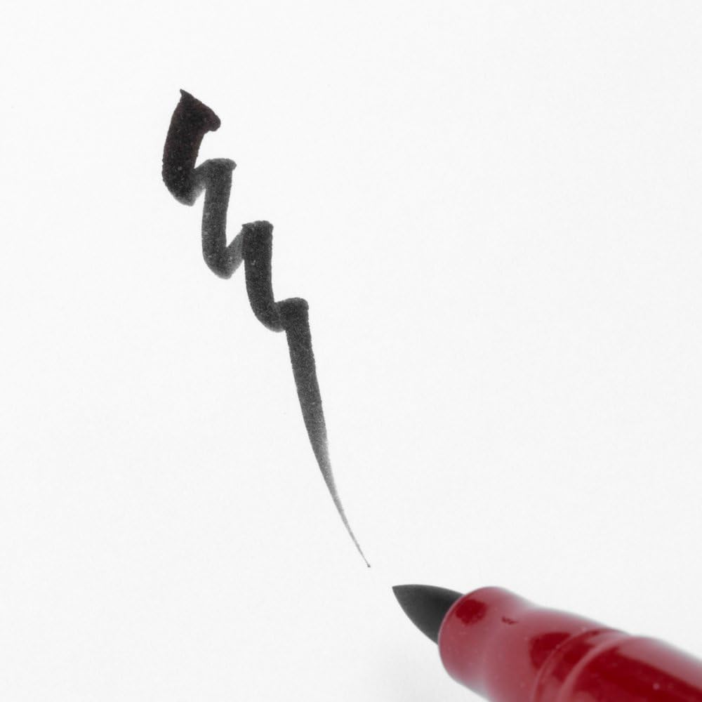 Pentel Brush Pen Fude Roman Twin XSFW33B – 10-Piece Set (Japan Import)