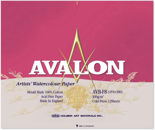 Holbein VB-F8 271005 Avalon Watercolor Paper Block 10.6 oz (300 g) Inner Paper (Medium Thick), Medium Grid, 12 Sheets