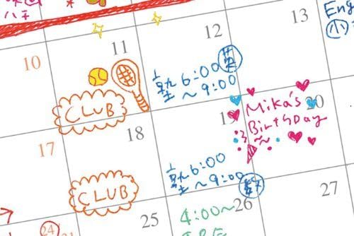 ZEBRA jerubo-rupen Chromodoris Clip 0.4