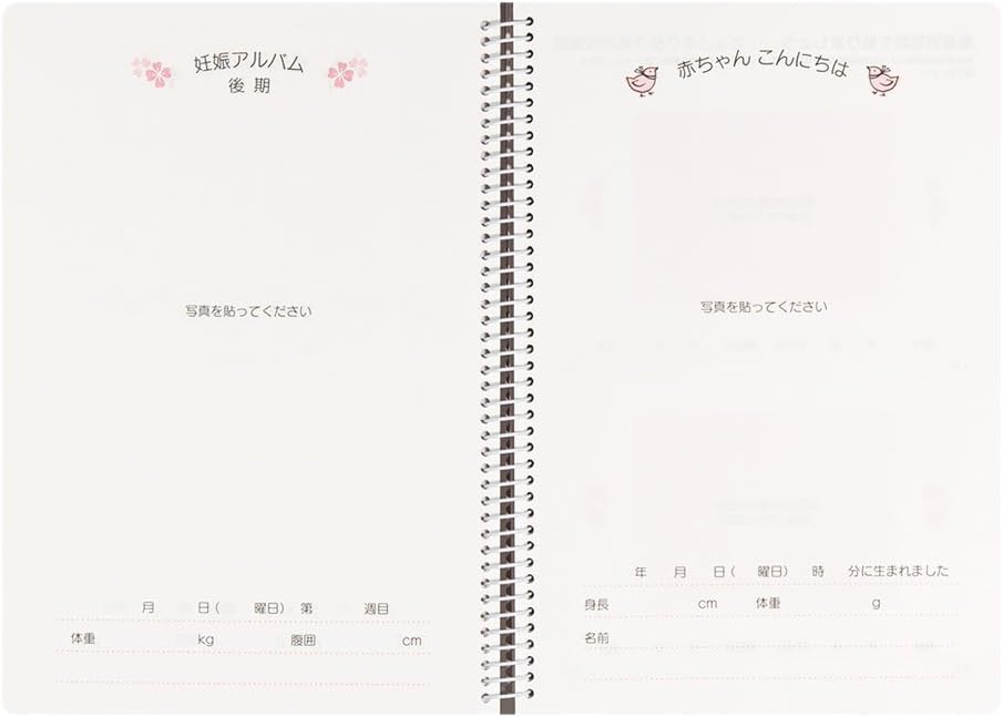 DESIGNPHIL Midori Diary HF Diary A5 Baby Preparation 26006006