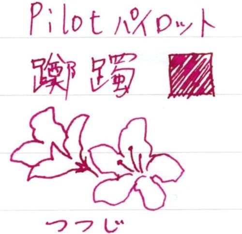 PILOT Iroshizuku Fountain Pen Ink - 50 ml Bottle - Tsutsuji Azalea (Magenta) (Japan Import)