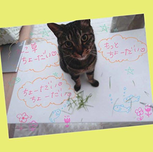 ZEBRA Sarasa Clip 0.5mm Ballpoint Pen, Milk Purple (JJ15-MKPU)