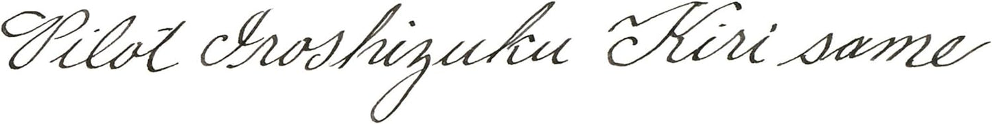 PILOT Iroshizuku Bottled Fountain Pen Ink, Kiri-Same, Scotch Mist (Warm Gray) 50ml Bottle (69207)