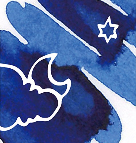 Sailor Fountain Pen Pigment Bottled Ink, Storia, 20ml, Blue, 131006240 Success