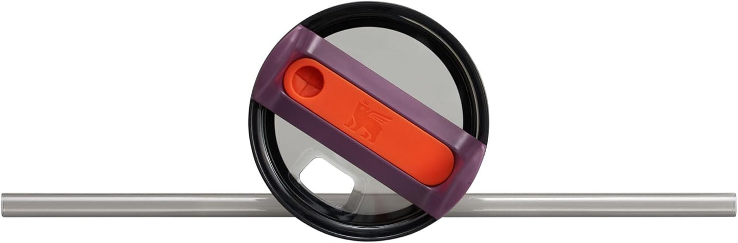 Stanley Quencher H2.0 Tumbler with Handle and Straw 30 oz | Flowstate 3-Position Lid | Cup Holder Compatible for Travel | Insulated Stainless Steel Cup | BPA-Free | Plum