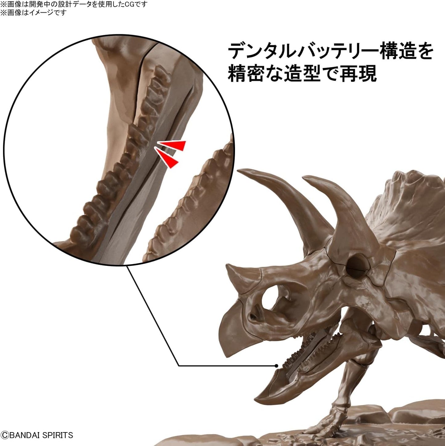 Bandai Hobby - Dinosaur - Triceratops, Bandai Spirits Imaginary Skeleton 1/32 Model Kit