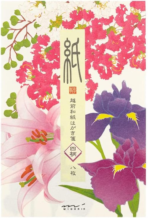 Midori 88686006 Postcard Notes, Paper Series, Summer Letter, 4 Patterns, Summer Floral Pattern