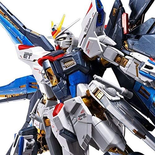 Bandai spirits 1/144 RG ZGMF-X20A Strike Freedom Gundam Titanium Finish