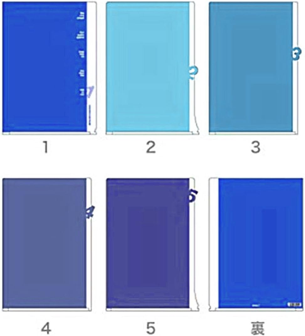 Midori 35102006 Clear Holder, 5 Pocket Clear Holder, A4, Die-Cut License Plate Pattern, Blue