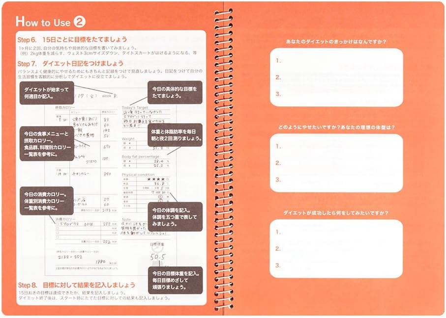 DESIGNPHIL Midori 26154006 Notebook HF Diary for 3 Months Diet A5