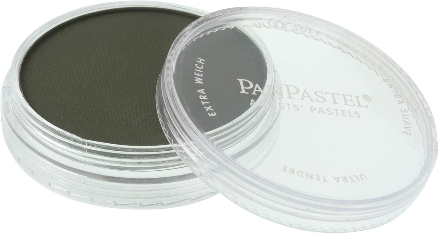 PanPastel Ultra Soft Artist Pastel, Chromium Oxide Green Extra Dark