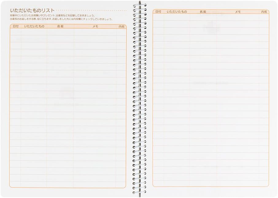 DESIGNPHIL Midori A5 26007006 Notebook Diary HF Diary, Childcare